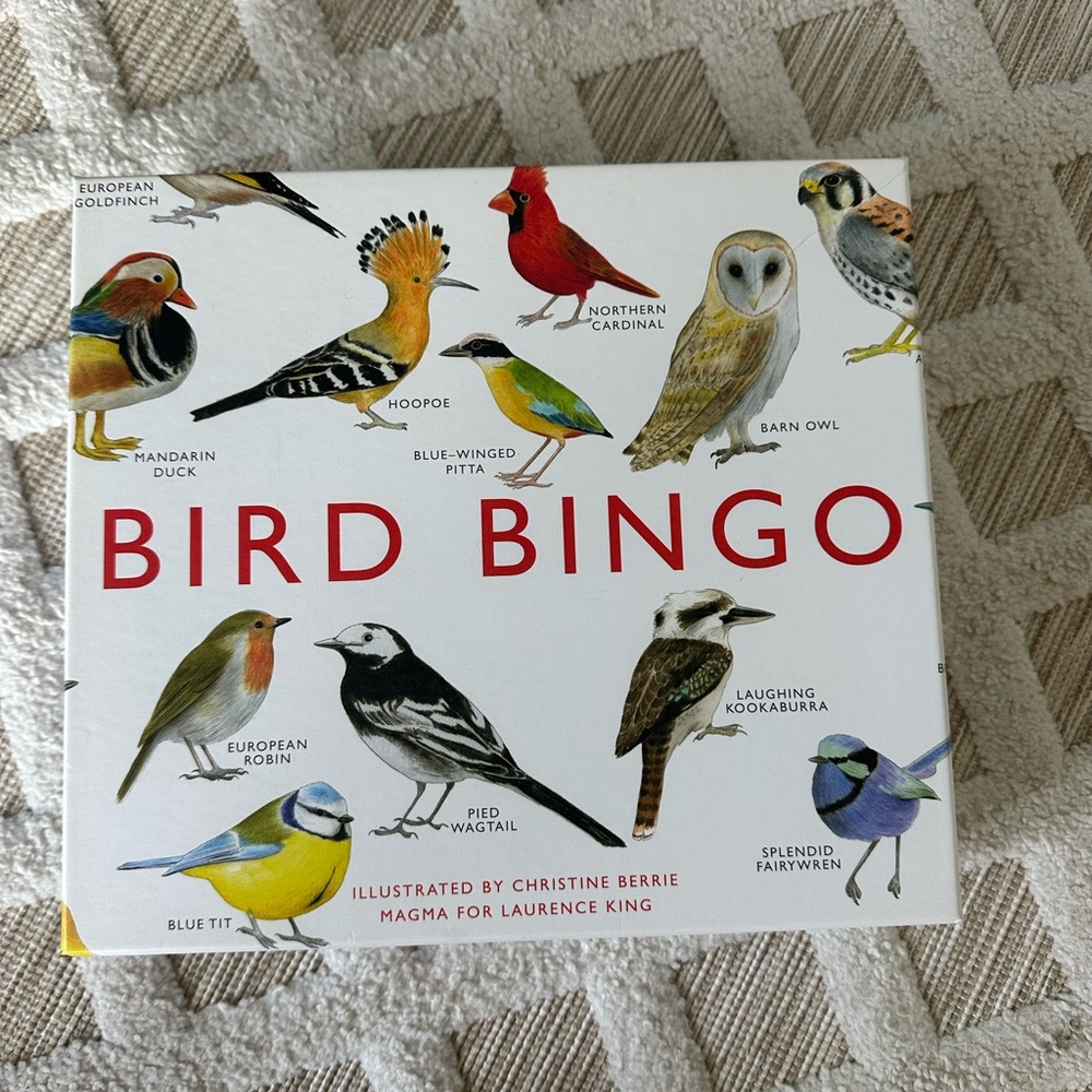 Bird Bingo Game by - Multicolor